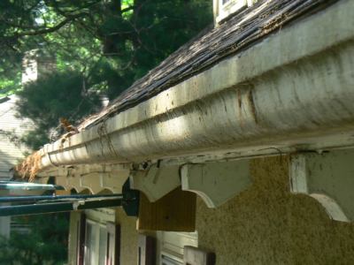 wood gutter rot