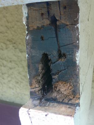 wood gutter rot